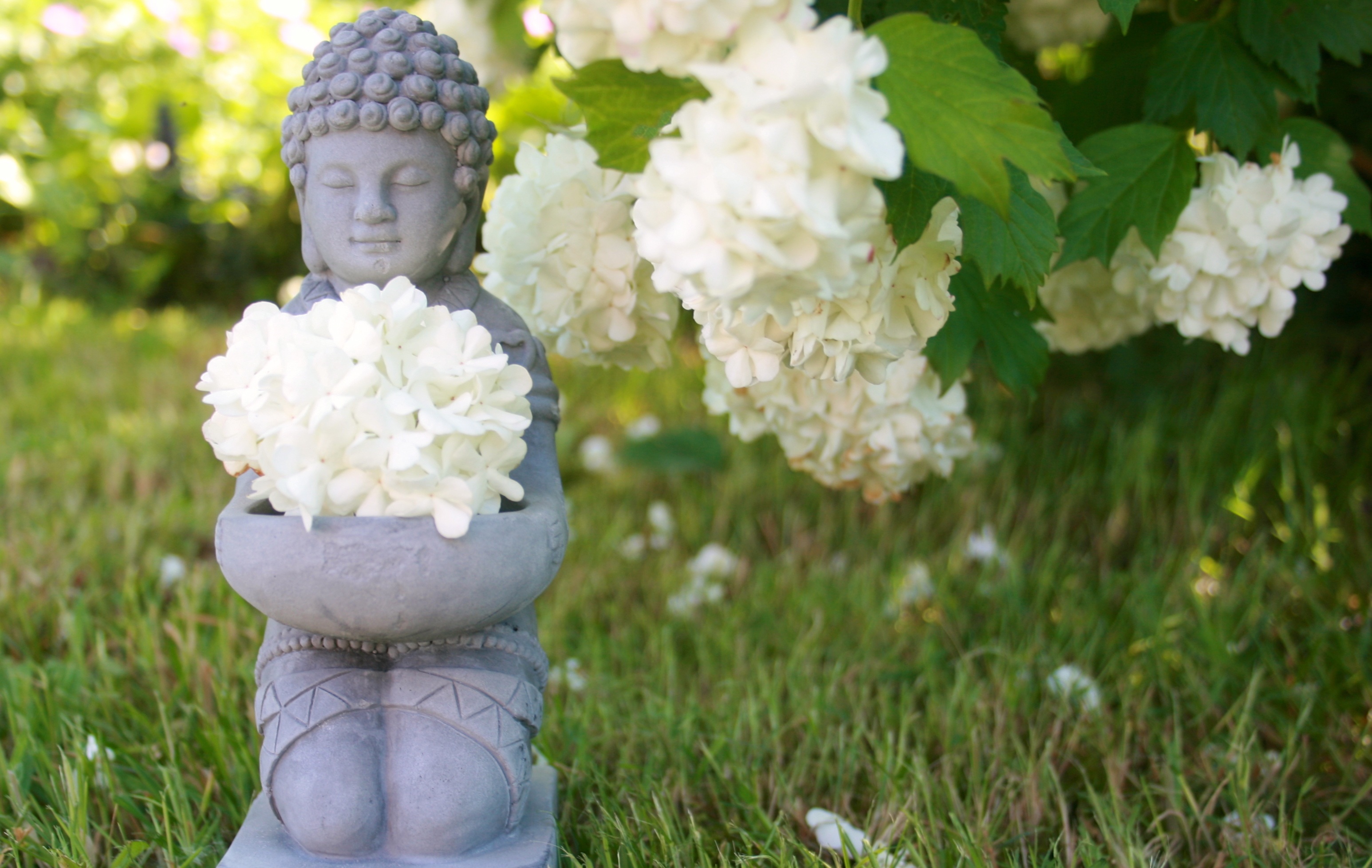 Hatha YogaYoga