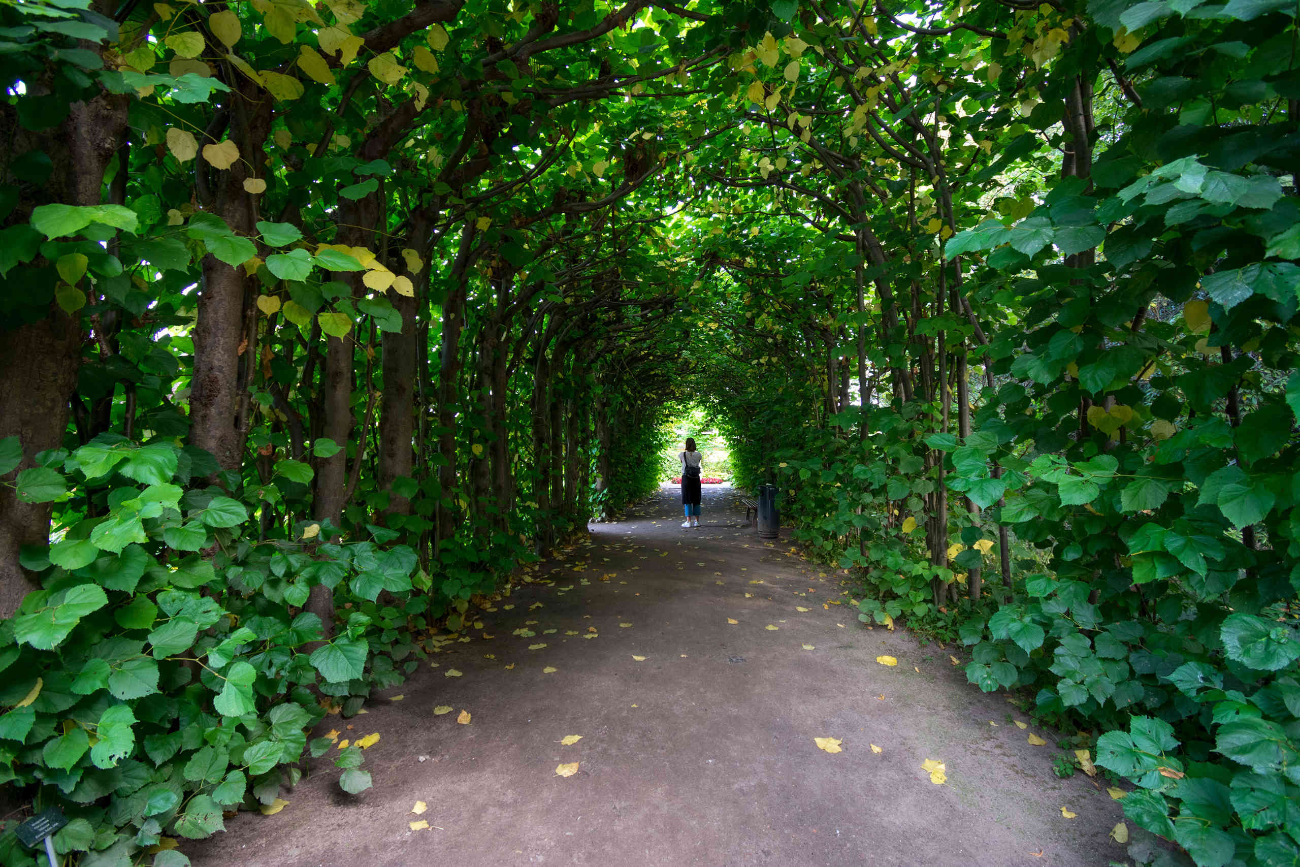 Schulgarten