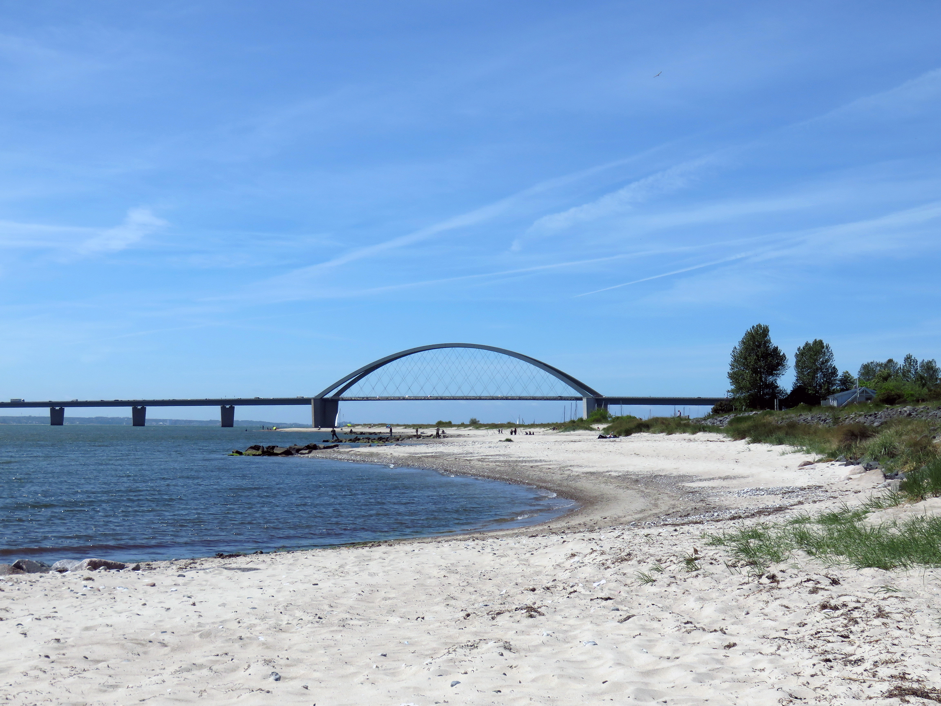 sturmband für markise Sturmband 12,5 Meter für Vorzelte, Wamovo
